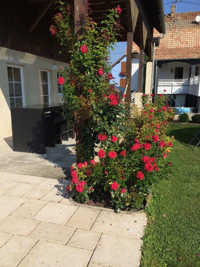 Alsace Maison 5P Piscine Europapark Rulantica Villa มาร์คกอลไซม์ ภายนอก รูปภาพ